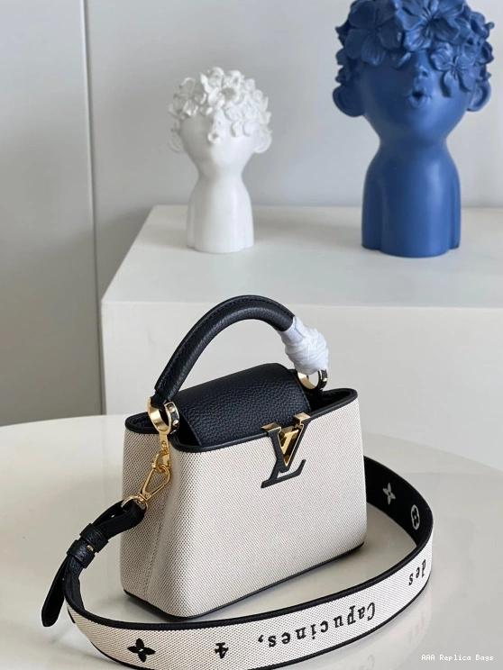 Aaa replica ru MINI LOUIS VUITTON CAPUCINES 0801